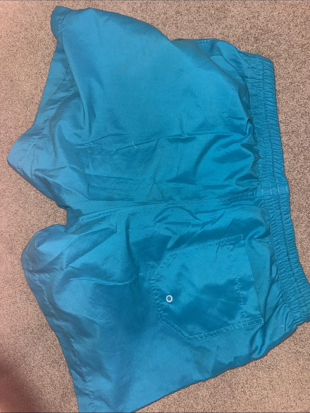 chubbies very blue original classic swim trunks XL 5.5 inseam